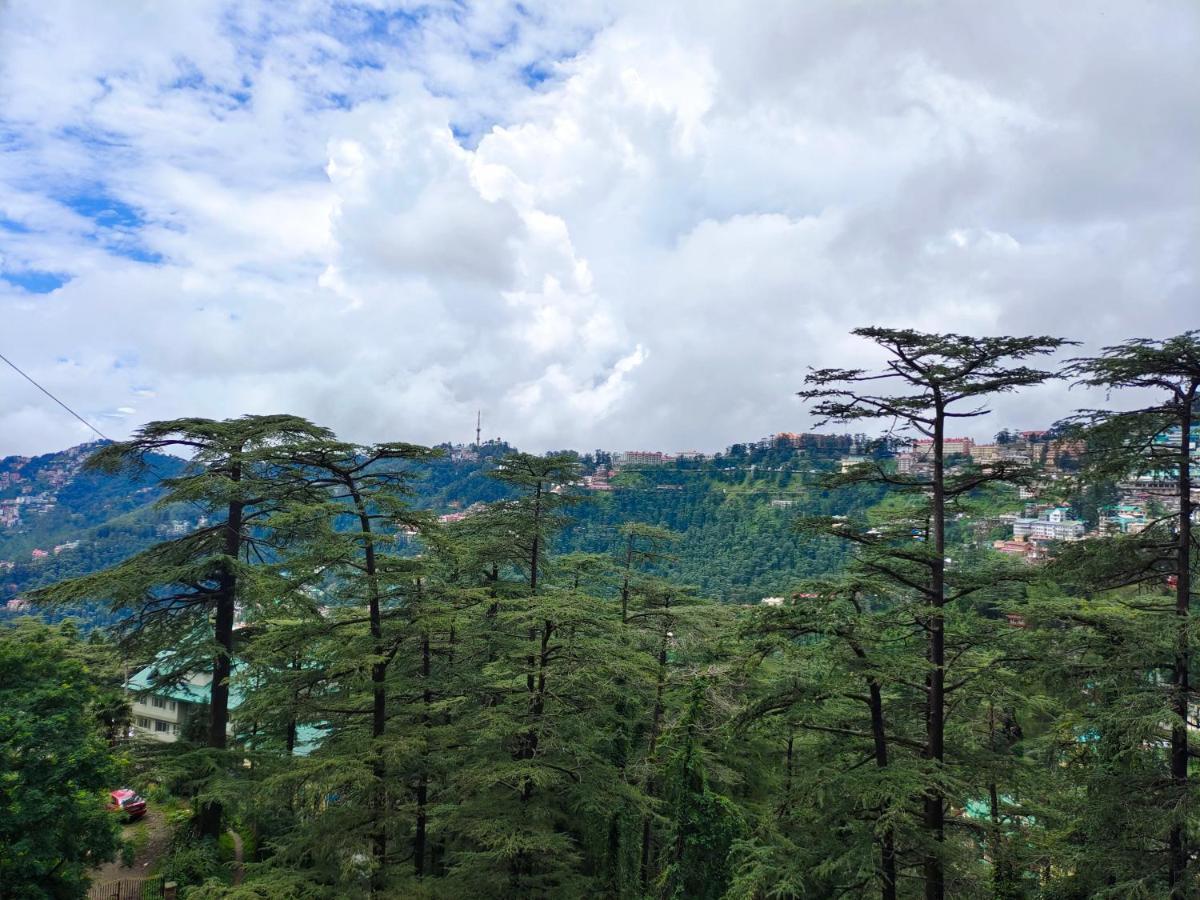 Mountain Zest-Simla Royale Near Mall Road-Free Pickup From Railway Station Simla Exteriör bild